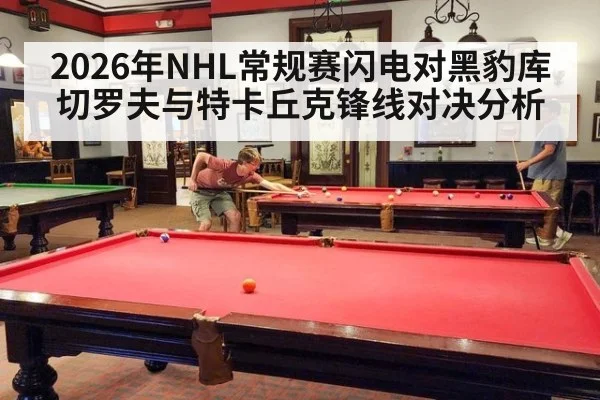 2026年NHL常规赛闪电对黑豹库切罗夫与特卡丘克锋线对决分析